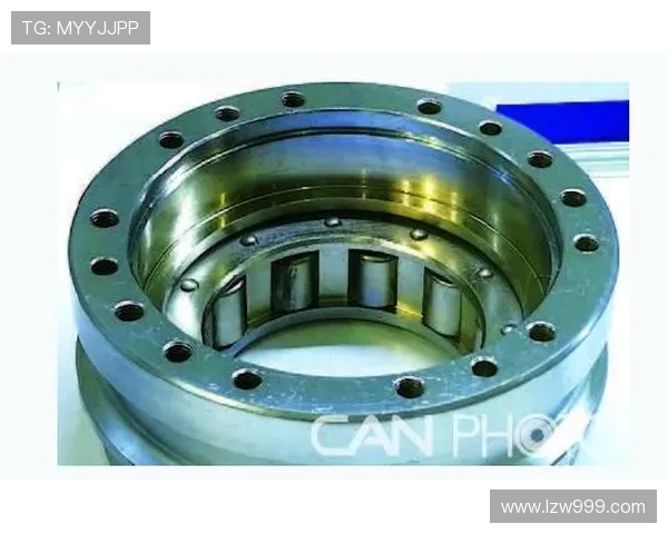 航空发动机中介轴承异响诊断方法