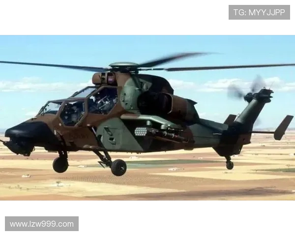 直升机在极端气候下的导航设备